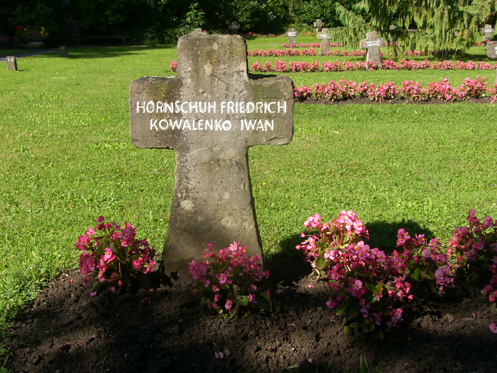 SH101737_JPG-1318842241