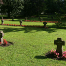 SH101743_JPG-1318842254