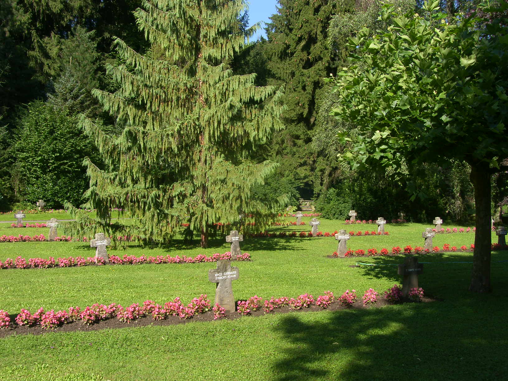 SH101735_JPG-1318842224