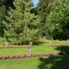 SH101735_JPG-1318842224