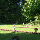 SH101732_JPG-1318842211