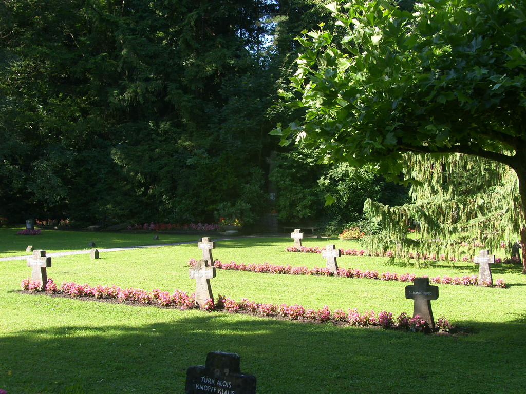 SH101732_JPG-1318842211