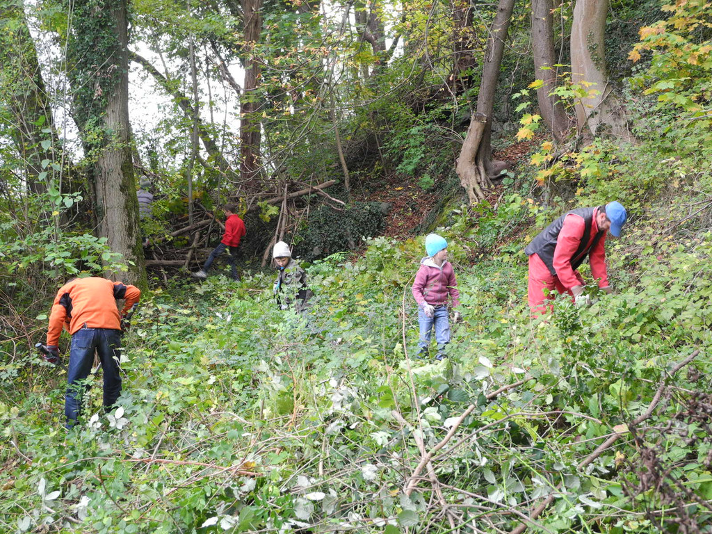 DSCN0214_JPG-1318850086