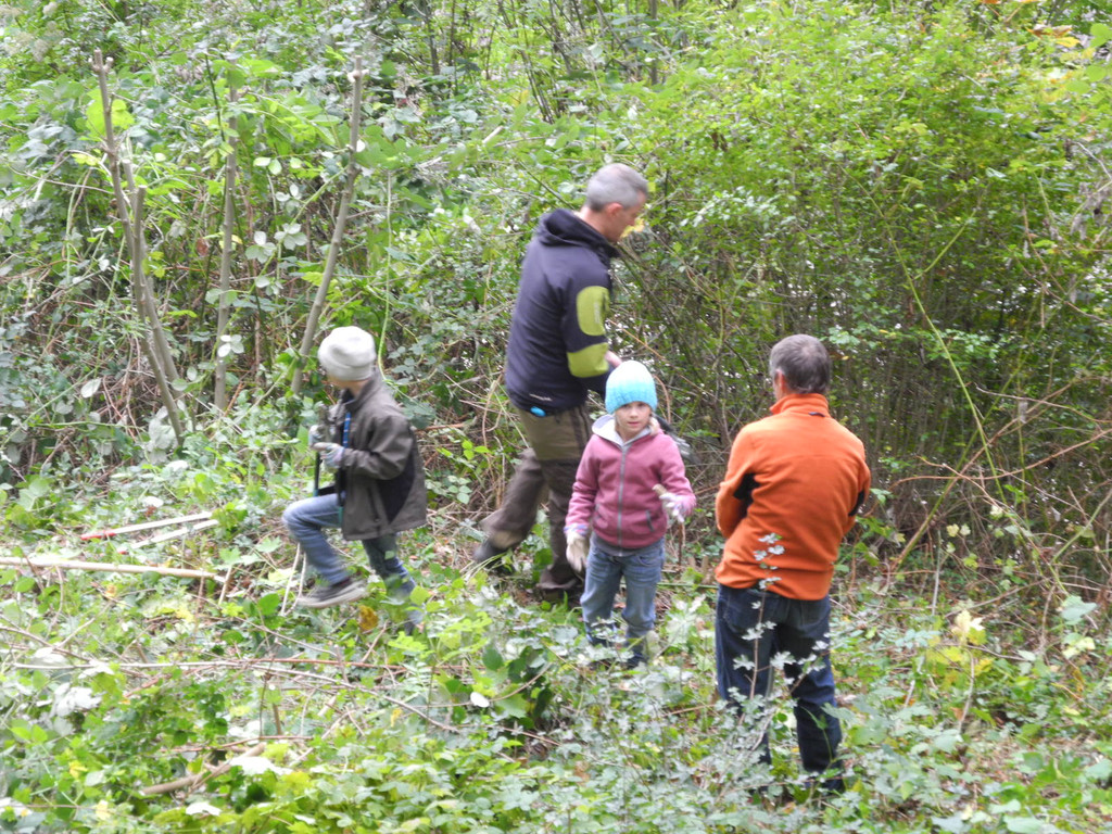 DSCN0216_JPG-1318850112