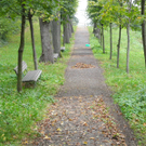 DSCN0219_JPG-1318850140