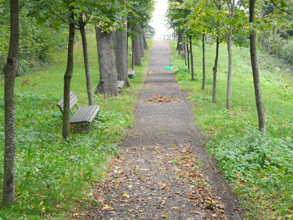 DSCN0219_JPG-1318850140