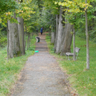 DSCN0223_JPG-1318850182