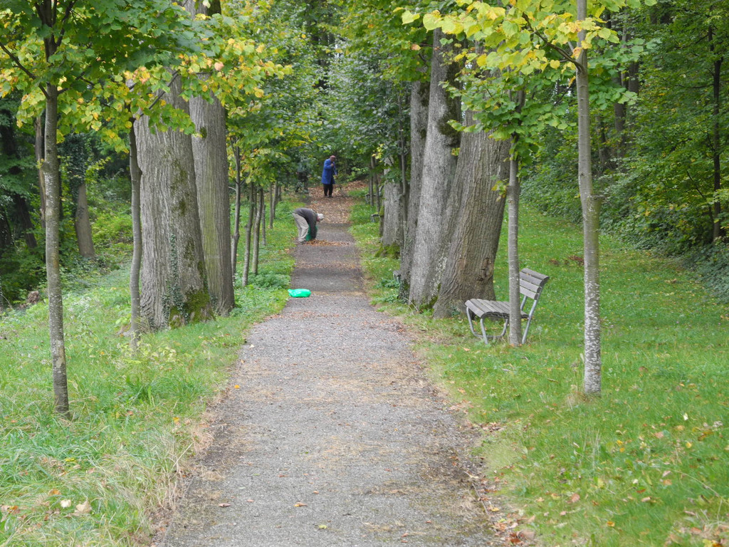 DSCN0223_JPG-1318850182