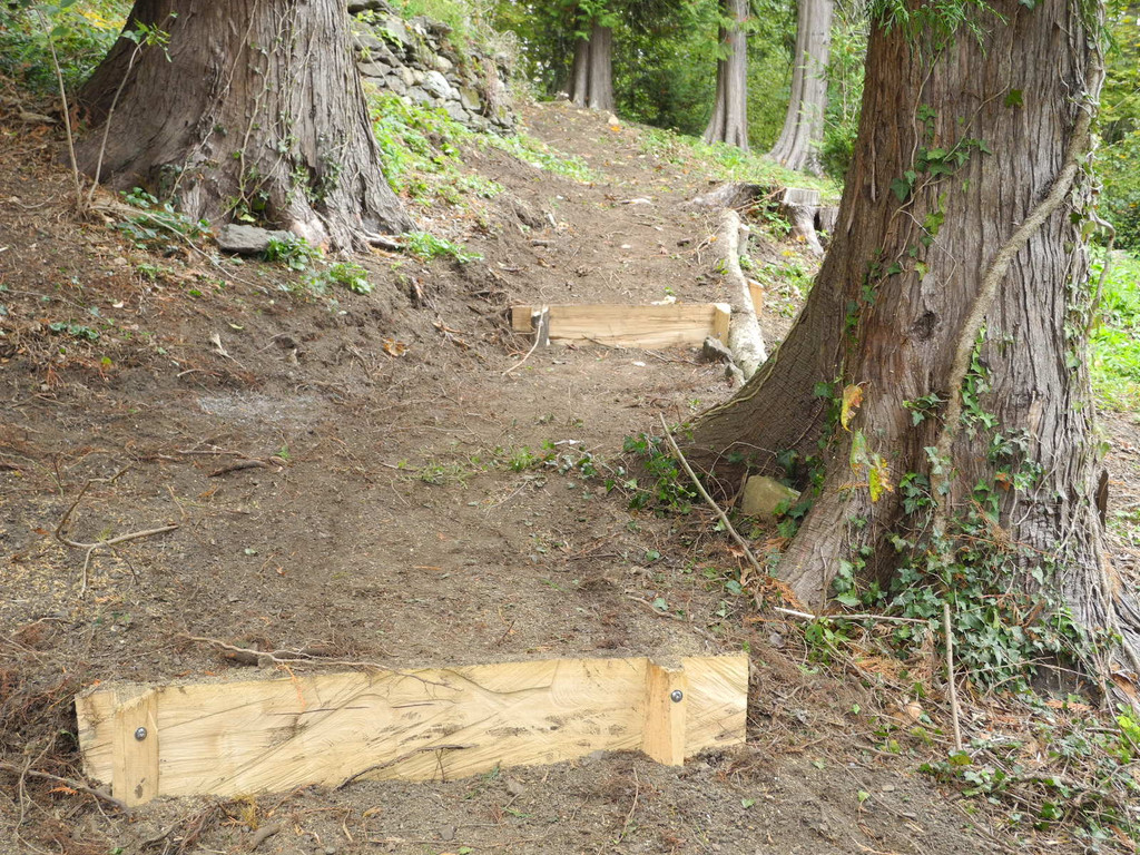 DSCN0232_JPG-1318850236