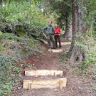 DSCN0233_JPG-1318850249