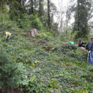 DSCN0240_JPG-1318850327