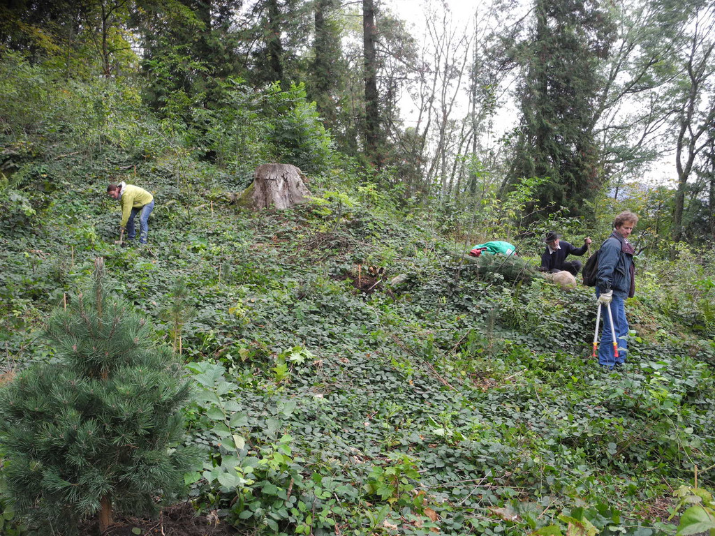 DSCN0240_JPG-1318850327