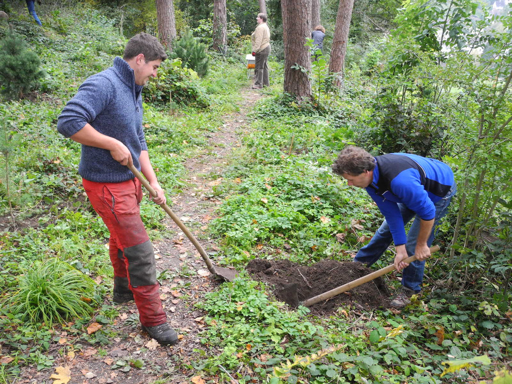 DSCN0241_JPG-1318850342