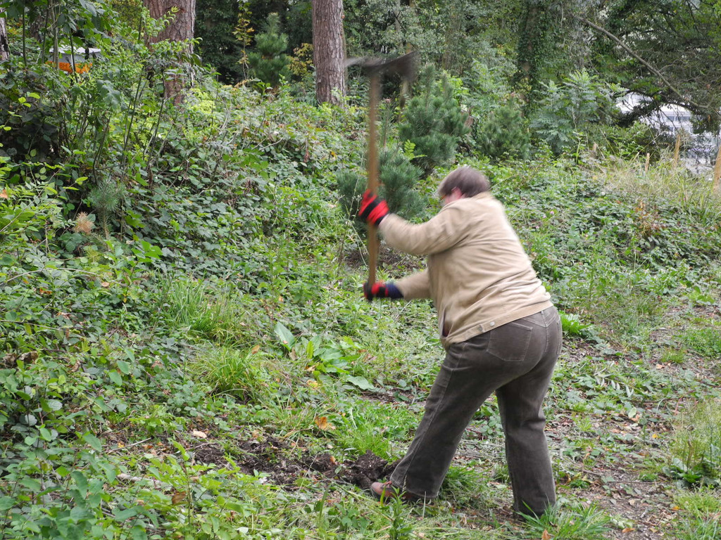 DSCN0245_JPG-1318850393