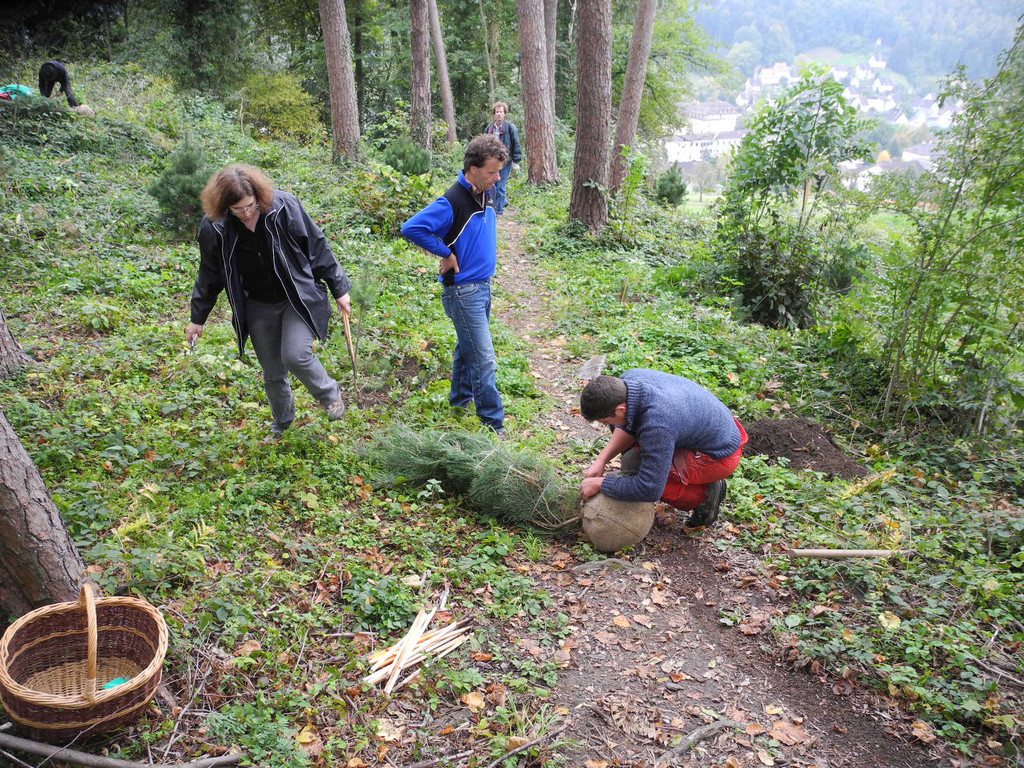 DSCN0246_JPG-1318850411