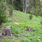 DSCN0247_JPG-1318850429