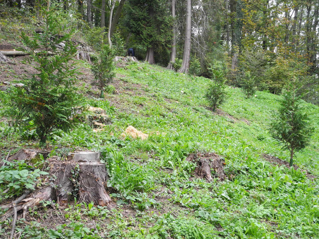 DSCN0247_JPG-1318850429