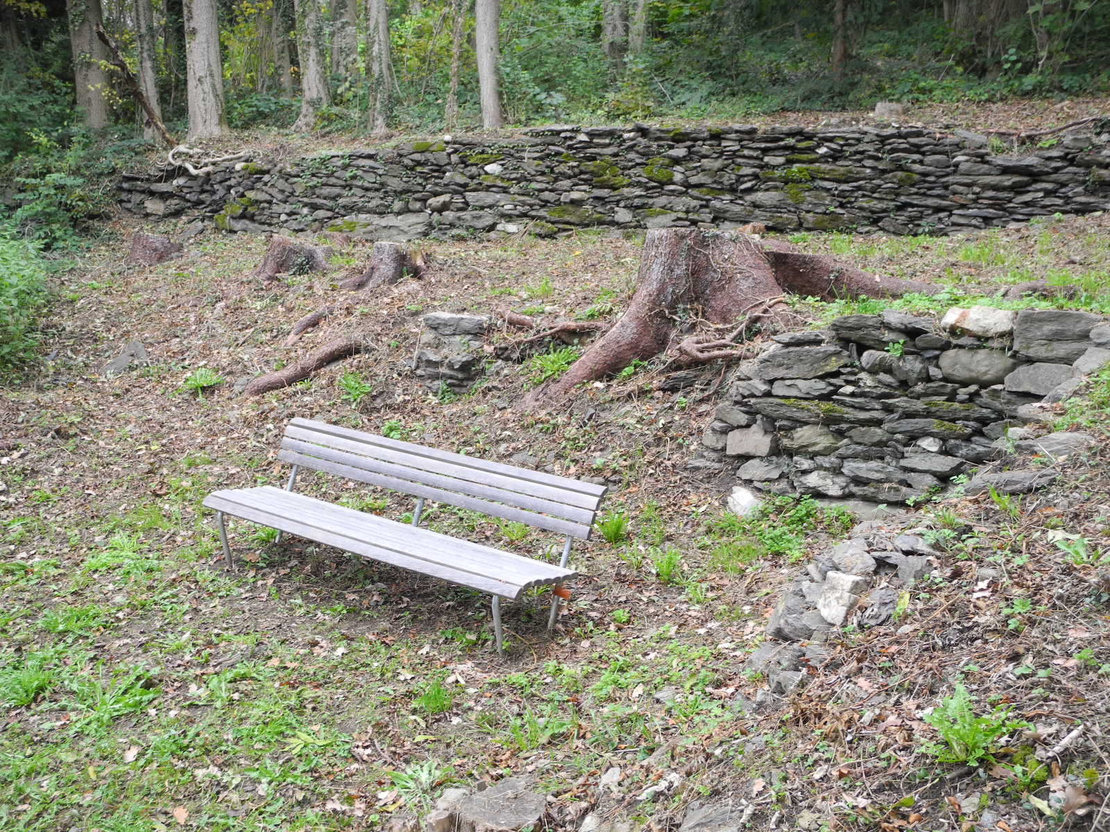 DSCN0248_JPG-1318850442