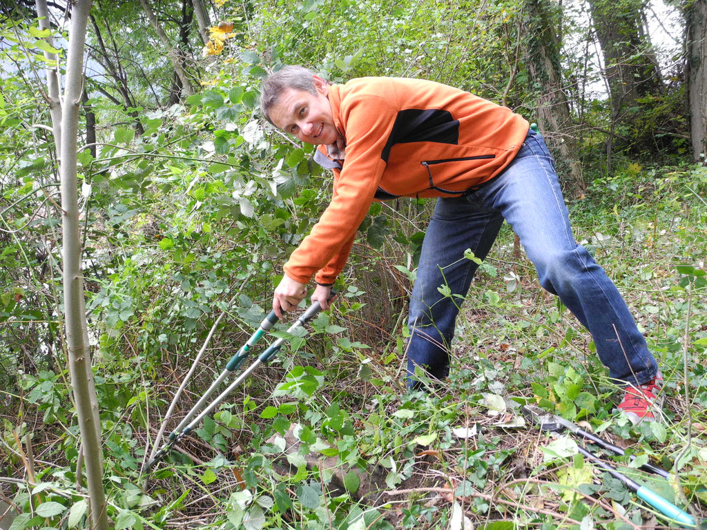 DSCN0250_JPG-1318850456