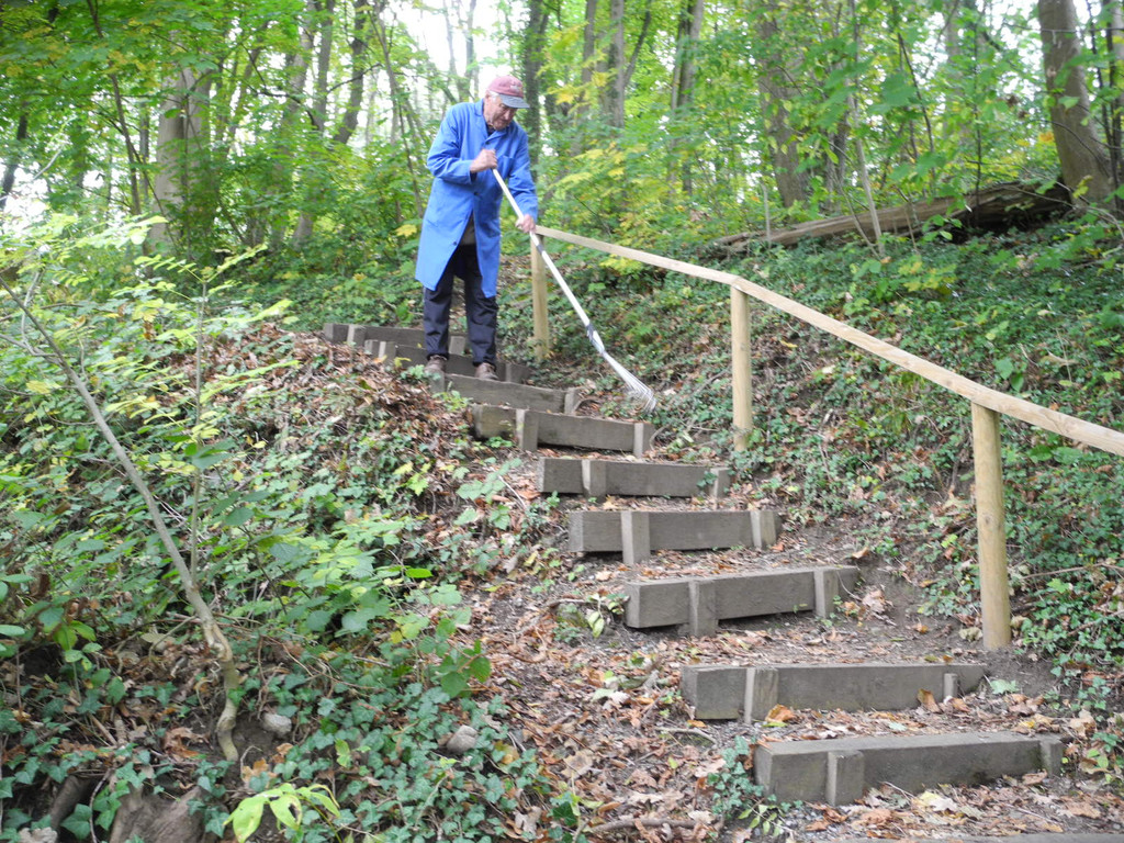 DSCN0253_JPG-1318850496