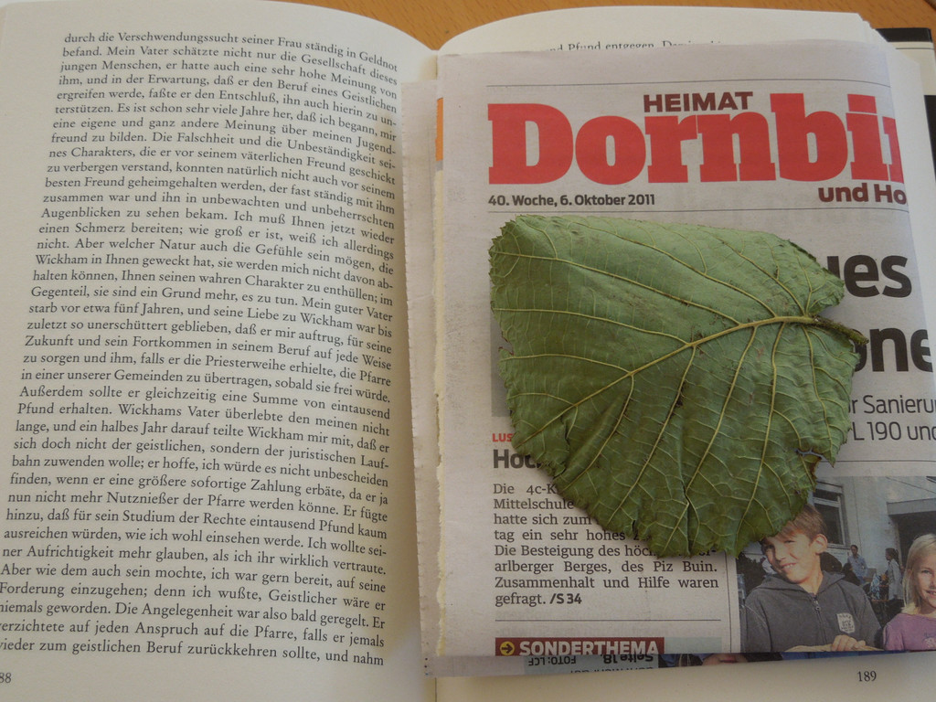 Oktober 20 012.JPG