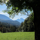 normal_16102011herbstffaktivnews_02.jpg
