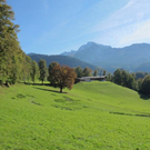 normal_16102011herbstffaktivnews_06.jpg