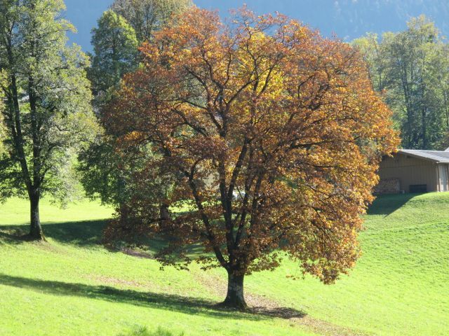 normal_16102011herbstffaktivnews_07.jpg
