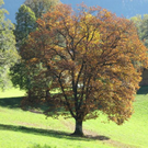 normal_16102011herbstffaktivnews_07.jpg