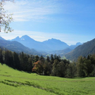 normal_16102011herbstffaktivnews_09.jpg