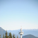 normal_161011rossbrandsfaktivnews001.JPG
