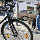 normal_17102011fmt_pkwkontrafahrrad_mw_04.JPG