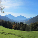 Bilder vom Zinkenkogel