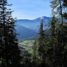normal_16102011zinkenextremffaktivnews_13.jpg