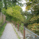 Sperre Bruecke Ruggbach Weidenweg _4__jpg-1318874068