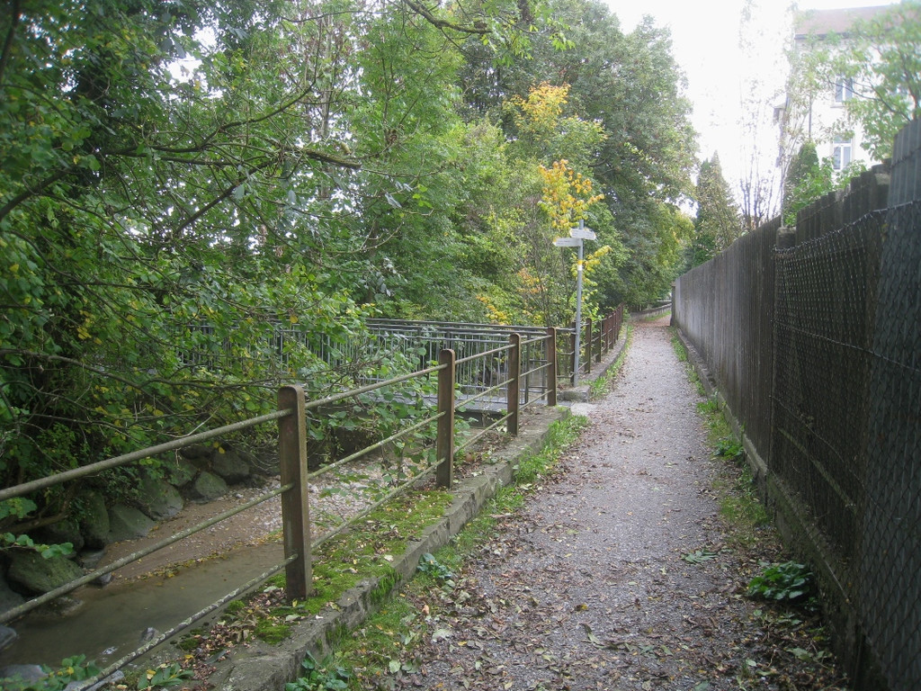Sperre Bruecke Ruggbach Weidenweg _5__jpg-1318874083