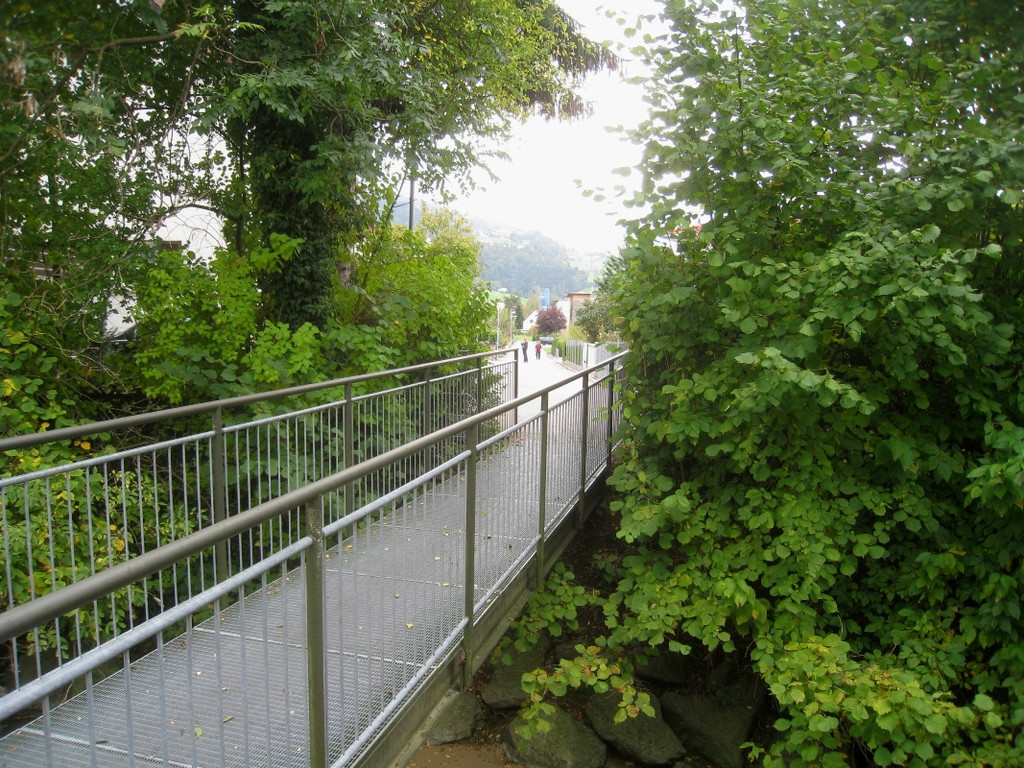 Sperre Bruecke Ruggbach Weidenweg _6__jpg-1318874098