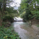 Sperre Bruecke Ruggbach Weidenweg _9__jpg-1318874138