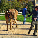 DSC_9064_JPG-1318885205