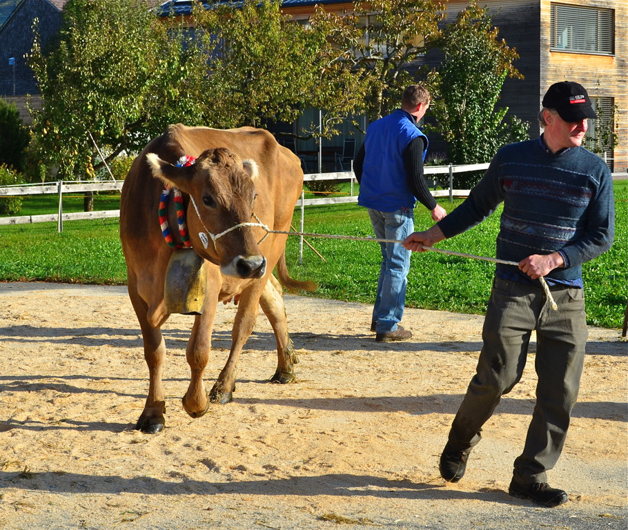 DSC_9064_JPG-1318885205