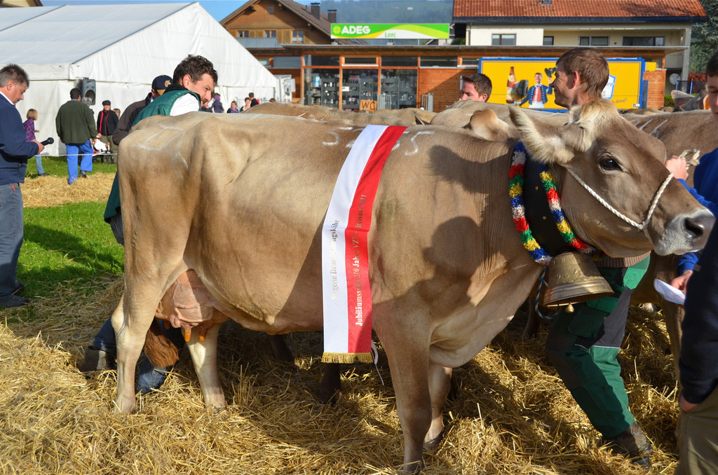 DSC_9087_JPG-1318885264