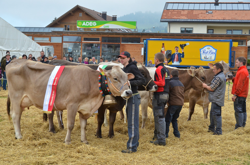 DSC_9185_JPG-1318885863
