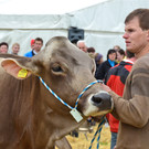 DSC_9202_JPG-1318885889