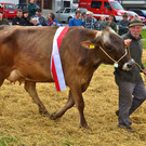 DSC_9214_JPG-1318885978