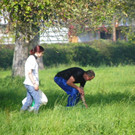 Streuobstwiesen Mehrerau