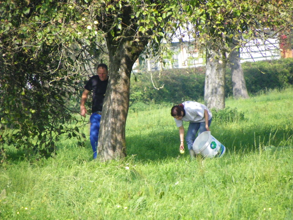 112_7055_JPG-1318887112