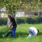 112_7059_JPG-1318887130