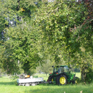 112_7067_JPG-1318887151