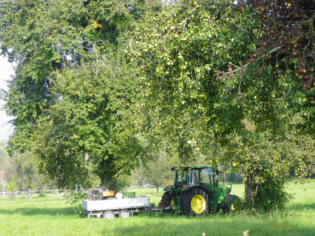 112_7067_JPG-1318887151