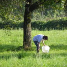 112_7073_JPG-1318887171